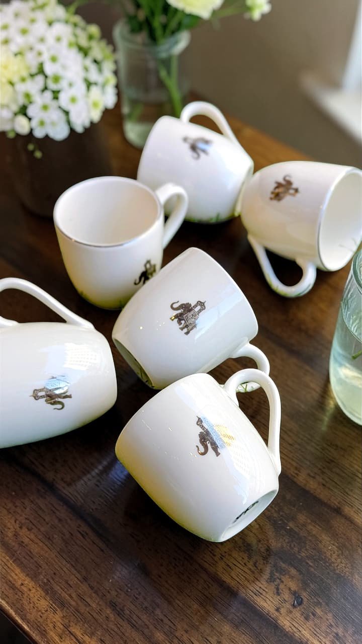 Cups Set Of 6 Vola