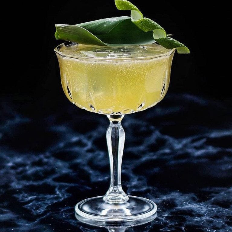 Felina Cocktail Glass - Set Of 6