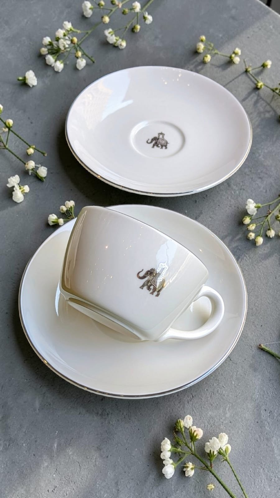 Gaj Collection Cookie Delight Brew Set – 12 Pc Premium Porcelain Tea Cup & Saucer Set (200ml) | Platinum Rim